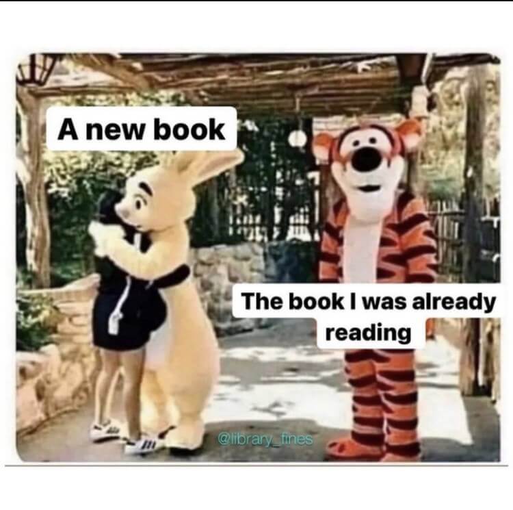 At a Disney theme park, a person dressed as Rabbit from Winnie the Pooh hugs a guest. A few feet to their right, a person dressed as Tigger holds their arms at their sides and stares directly at the camera. Above Rabbit is text that reads, 'A new book' and above Tigger is text that reads, 'The book I was already reading.'
