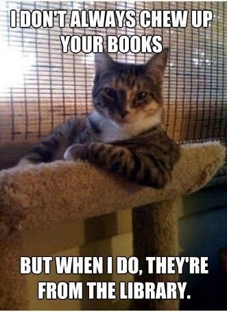 A cat lays on a fuzzy cat tower with one elbow draped over the edge and stares at the camera. Text reads, 'I don't always chew up your books but when I do they're from the library.'